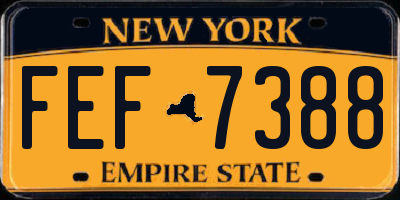 NY license plate FEF7388