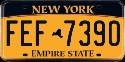 NY license plate FEF7390