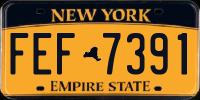 NY license plate FEF7391