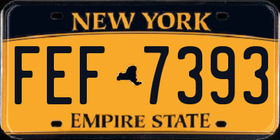 NY license plate FEF7393