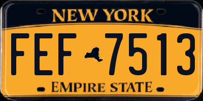 NY license plate FEF7513