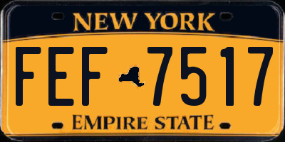 NY license plate FEF7517