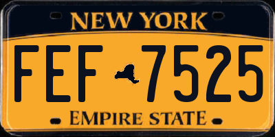 NY license plate FEF7525