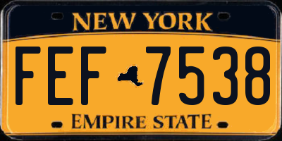 NY license plate FEF7538