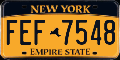 NY license plate FEF7548