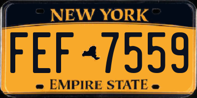 NY license plate FEF7559