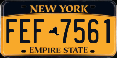 NY license plate FEF7561