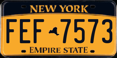 NY license plate FEF7573