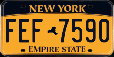NY license plate FEF7590