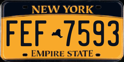NY license plate FEF7593
