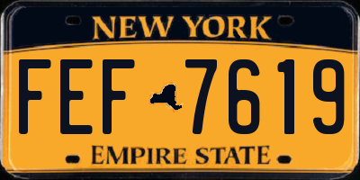 NY license plate FEF7619