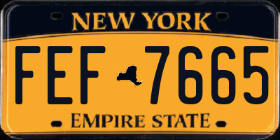 NY license plate FEF7665