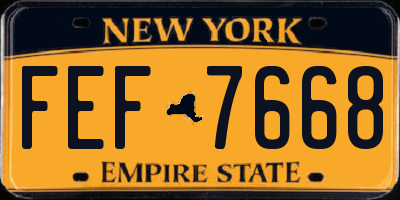 NY license plate FEF7668