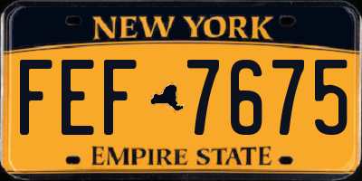 NY license plate FEF7675