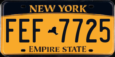 NY license plate FEF7725