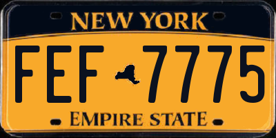 NY license plate FEF7775