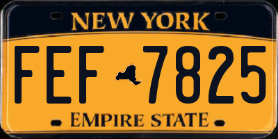 NY license plate FEF7825