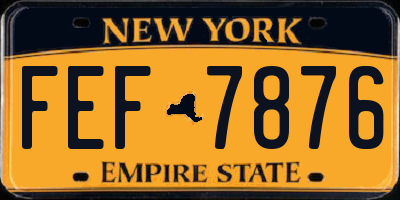 NY license plate FEF7876