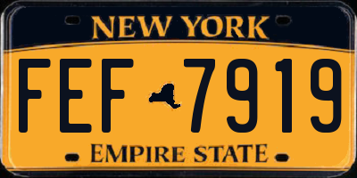 NY license plate FEF7919