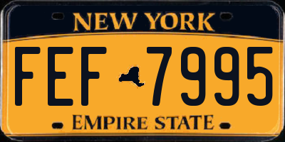 NY license plate FEF7995