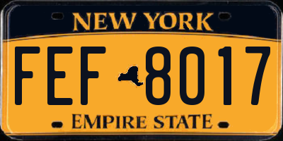 NY license plate FEF8017