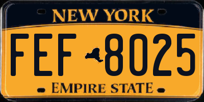 NY license plate FEF8025