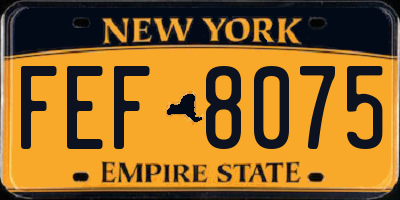 NY license plate FEF8075