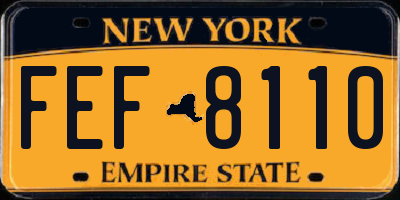 NY license plate FEF8110