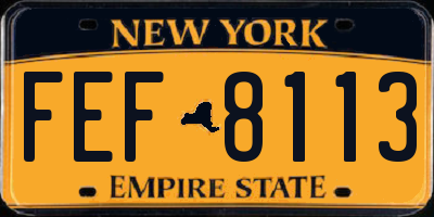 NY license plate FEF8113