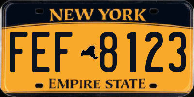 NY license plate FEF8123