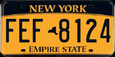 NY license plate FEF8124