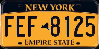 NY license plate FEF8125
