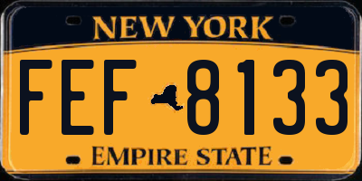 NY license plate FEF8133