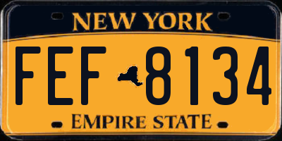 NY license plate FEF8134
