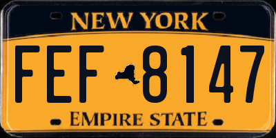 NY license plate FEF8147