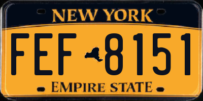 NY license plate FEF8151