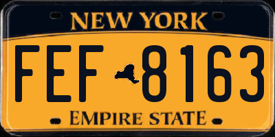 NY license plate FEF8163