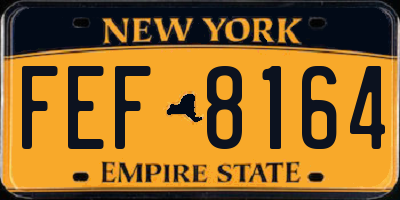 NY license plate FEF8164