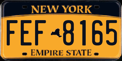 NY license plate FEF8165