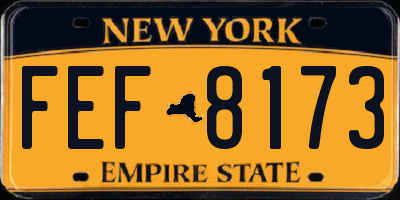 NY license plate FEF8173