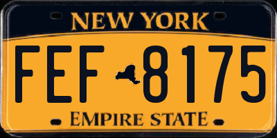 NY license plate FEF8175