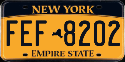 NY license plate FEF8202