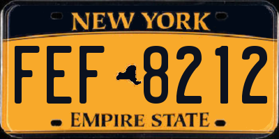 NY license plate FEF8212