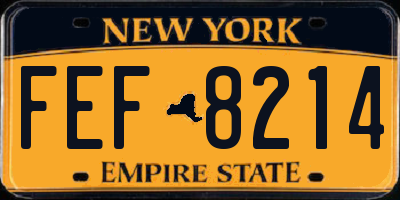 NY license plate FEF8214