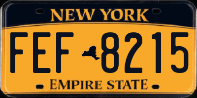 NY license plate FEF8215