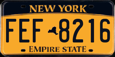 NY license plate FEF8216