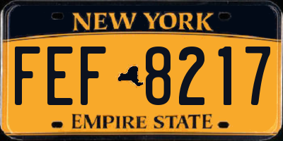 NY license plate FEF8217