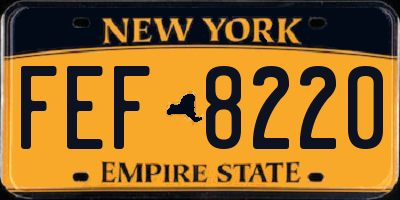 NY license plate FEF8220