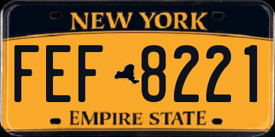 NY license plate FEF8221