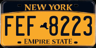 NY license plate FEF8223